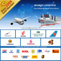 Transport de fret aérien / logistique de transport de conteneurs de la Chine vers l&#39;Inde